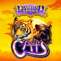 Diamond Spins Cats